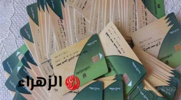 رسميًا.. فتح باب إضافة المواليد على بطاقة التموين 2025 الشروط المطلوبة والفئات المستحقة 1